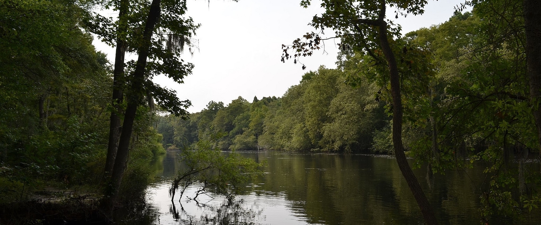 Edisto River, canoe trip, overnight trip