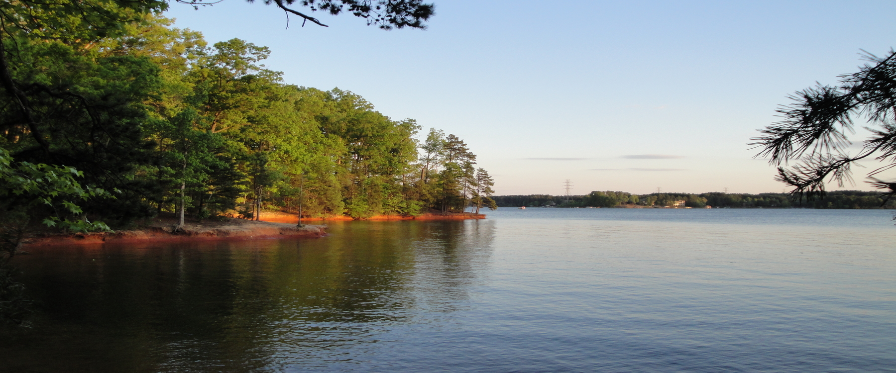 Stand up paddle board